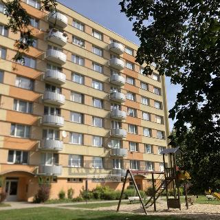 Prodej bytu 2+kk 38 m² České Budějovice, Pražská tř.