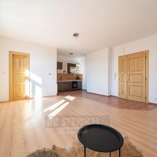 Prodej bytu 1+kk a garsoniéry 43 m² České Budějovice, Krajinská