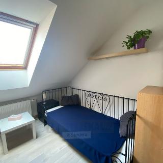 Pronájem bytu 1+kk a garsoniéry 22 m² České Budějovice, Mánesova