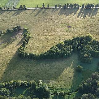 Prodej podílu louky 52665 m² Rožmitál na Šumavě