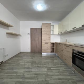 Pronájem bytu 1+1 41 m² České Budějovice