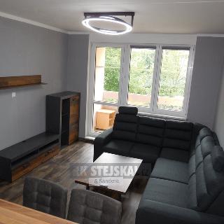 Pronájem bytu 2+kk 47 m² Borovany, Třeboňská