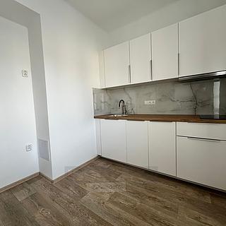 Pronájem bytu 2+1 51 m&sup2; České Budějovice