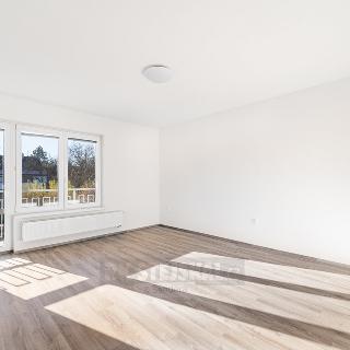 Pronájem bytu 3+1 80 m² České Budějovice