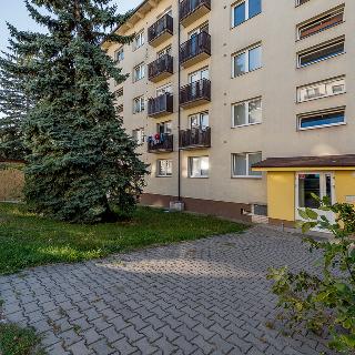 Prodej bytu 3+1 70 m² Milovice, Spojovací