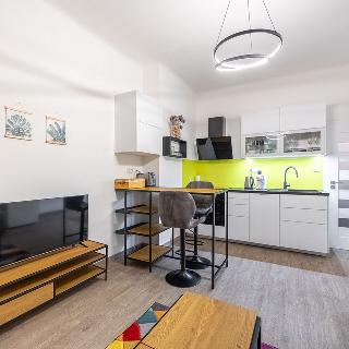 Pronájem bytu 2+kk 46 m² Praha, Žerotínova