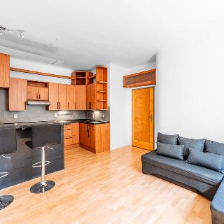 Pronájem bytu 2+kk 46 m² Praha, Za vokovickou vozovnou