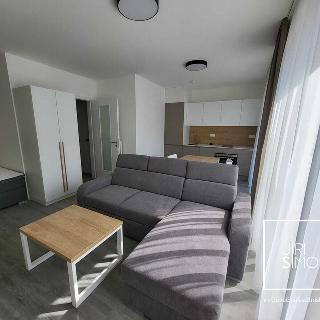 Prodej bytu 1+kk a garsoniéry 37 m² Český Krumlov, Za Jitonou