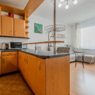 Prodej bytu 2+kk 38 m² Praha, Na domovině