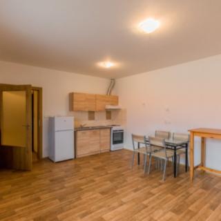 Pronájem bytu 1+kk a garsoniéry 34 m² Milovice Mladá, Rakouská