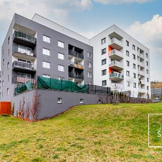 Pronájem bytu 1+kk a garsoniéry 48 m² Praha, Strnadových