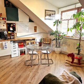 Pronájem bytu 2+kk 52 m² České Budějovice, Dr. Tůmy