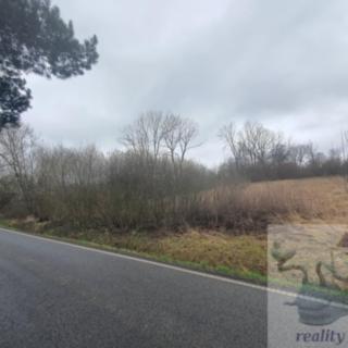Prodej stavební parcely 2 113 m² Stružnice Stráž u České Lípy
