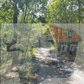 Prodej lesa 1360 m&sup2; Dubá