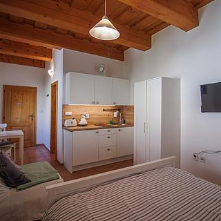 Pronájem Atypických bytů 25 m&sup2; Sušice