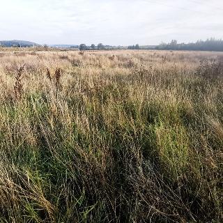 Prodej stavební parcely 1 513 m² Plzeň