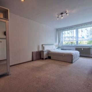 Pronájem bytu 1+1 47 m² Sušice