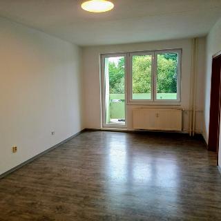 Pronájem bytu 4+1 85 m² České Budějovice, A. Trägera