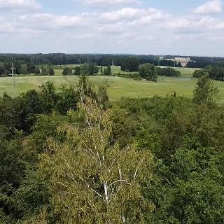 Prodej stavební parcely 20 000 m² Chlum u Třeboně, 