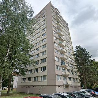 Pronájem bytu 3+1 69 m² České Budějovice, Čéčova