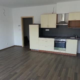 Pronájem bytu 1+kk a garsoniéry 46 m² České Budějovice, Fráni Šrámka