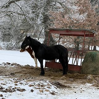Prodej rodinného domu 1140 m&sup2; Frymburk