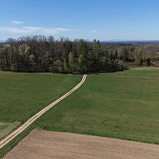 Prodej lesa 389696 m&sup2; Chlum u Třeboně