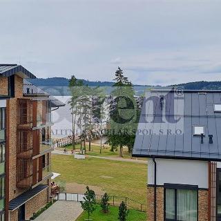 Pronájem bytu 2+kk 85 m² Lipno nad Vltavou, 