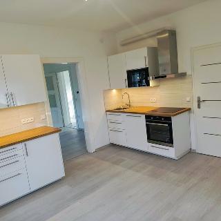 Pronájem bytu 2+1 64 m² České Budějovice, Pekárenská