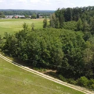 Prodej lesa 130 000 m² Chlum u Třeboně, 