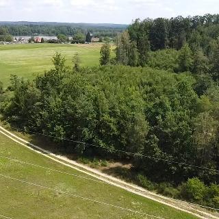 Prodej lesa 360 000 m² Chlum u Třeboně, 