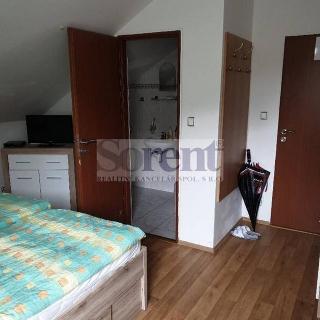 Pronájem bytu 1+kk a garsoniéry 16 m² Lipno nad Vltavou