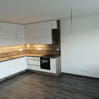 Pronájem bytu 2+kk 55 m² České Budějovice, Fr. Škroupa