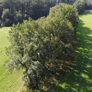 Prodej louky 4295 m² Nedabyle