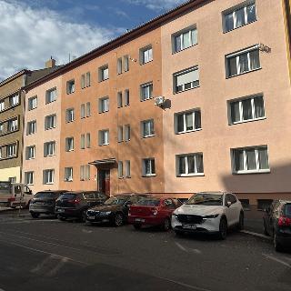 Pronájem bytu 2+1 52 m² Cheb, Palackého