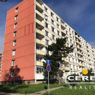 Prodej bytu 3+1 65 m² Bílina, Sídliště Za Chlumem