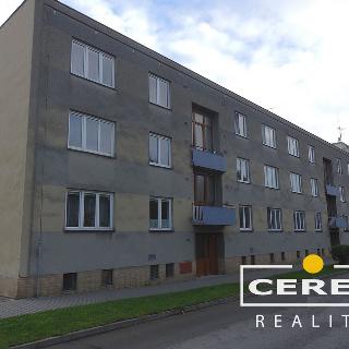 Prodej bytu 3+1 70 m² Vysoké Mýto, Prokopa Velikého