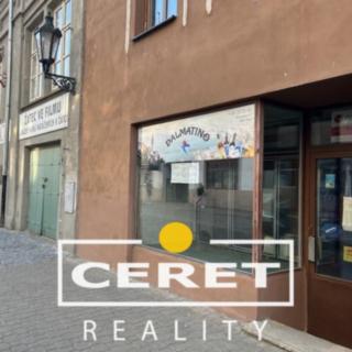 Pronájem obchodu 45 m² Žatec