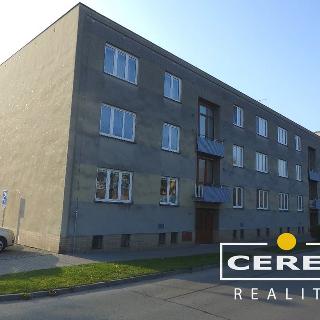 Prodej bytu 3+1 70 m² Vysoké Mýto, Prokopa Velikého