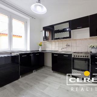 Prodej bytu 2+1 65 m² Žatec, Třebízského