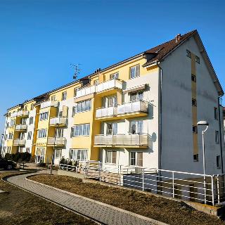 Prodej bytu 1+kk a garsoniéry 38 m² Třebíč, Lavického