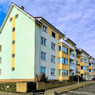 Prodej bytu 1+kk a garsoniéry 38 m² Třebíč, Lavického