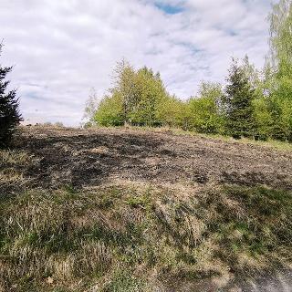 Prodej zahrady 1 044 m² Rynholec, Na Holubíně