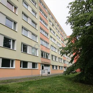 Pronájem bytu 1+1 34 m² Kladno, Holandská