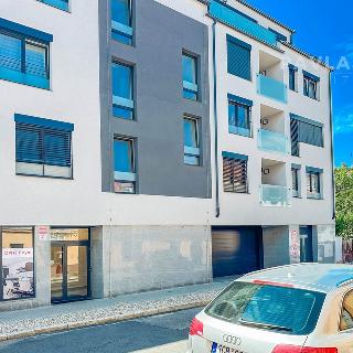 Pronájem bytu 1+kk a garsoniéry 40 m² České Budějovice, Chelčického