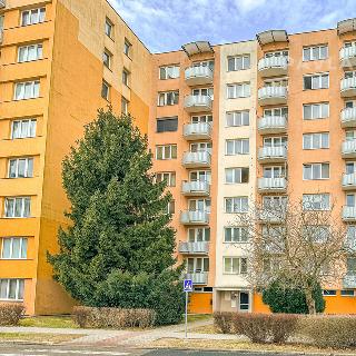 Pronájem bytu 1+1 39 m² České Budějovice, V. Talicha