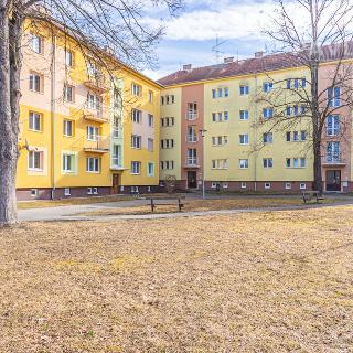 Prodej bytu 3+1 65 m² Zliv, Jáchymovská