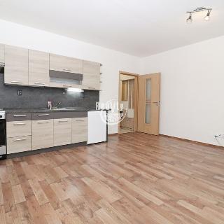 Pronájem bytu 1+kk a garsoniéry 27 m² Jihlava, Demlova