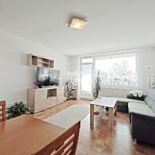 Pronájem bytu 2+kk 62 m² Jihlava, Mošnova