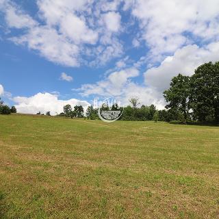 Prodej stavební parcely 5 650 m² Vyskytná nad Jihlavou, 